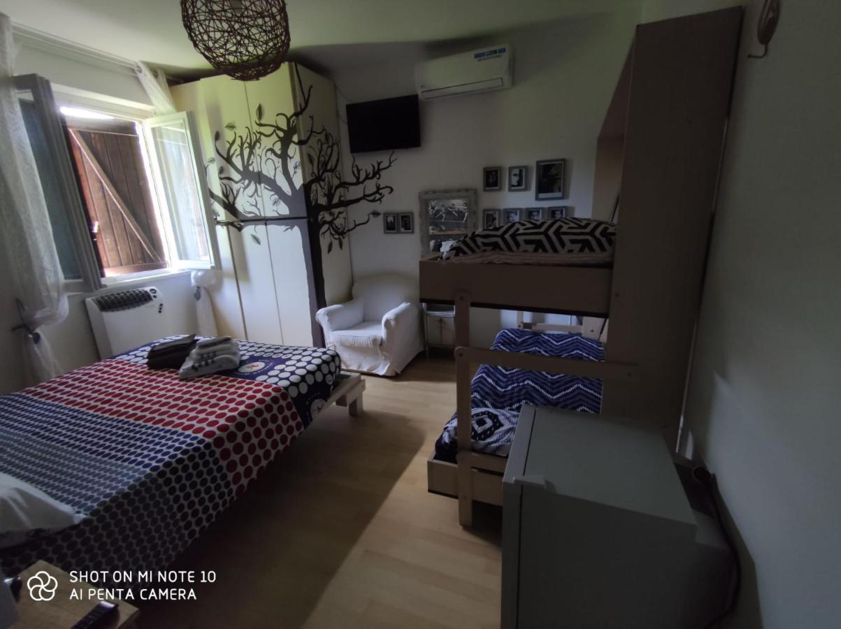 Ritratto sul Lago B&B Dormelletto Esterno foto