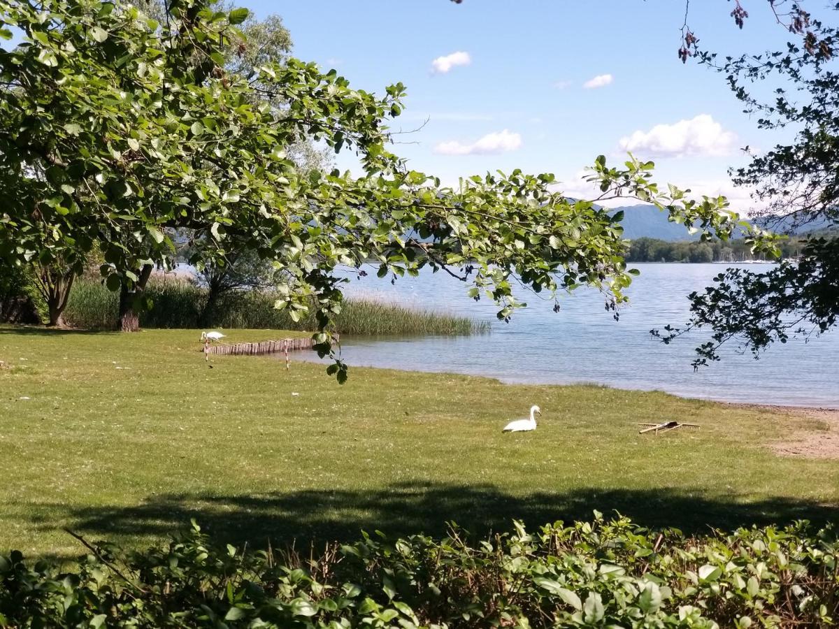Ritratto sul Lago B&B Dormelletto Esterno foto