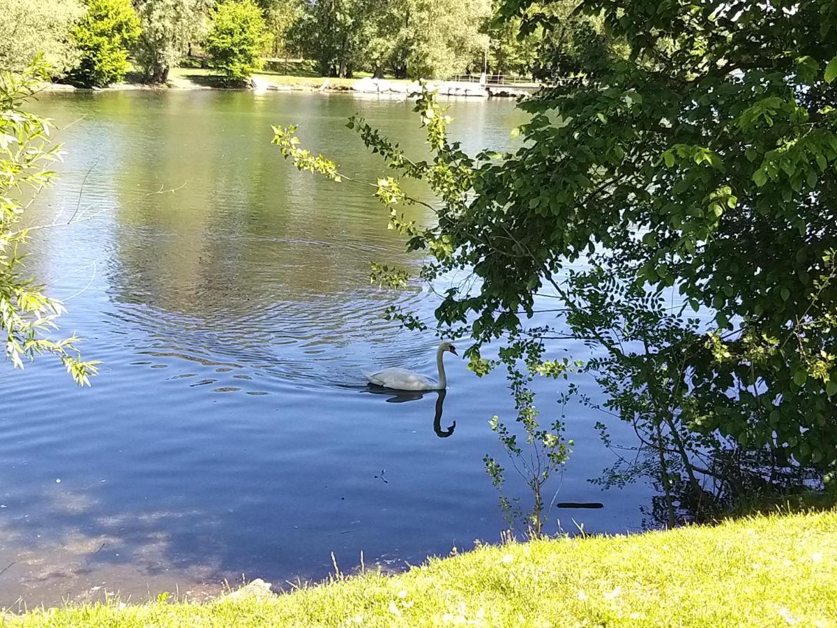 Ritratto sul Lago B&B Dormelletto Esterno foto