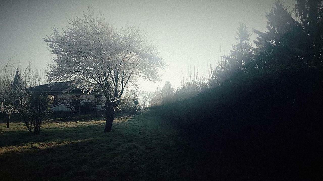 Ritratto sul Lago B&B Dormelletto Esterno foto