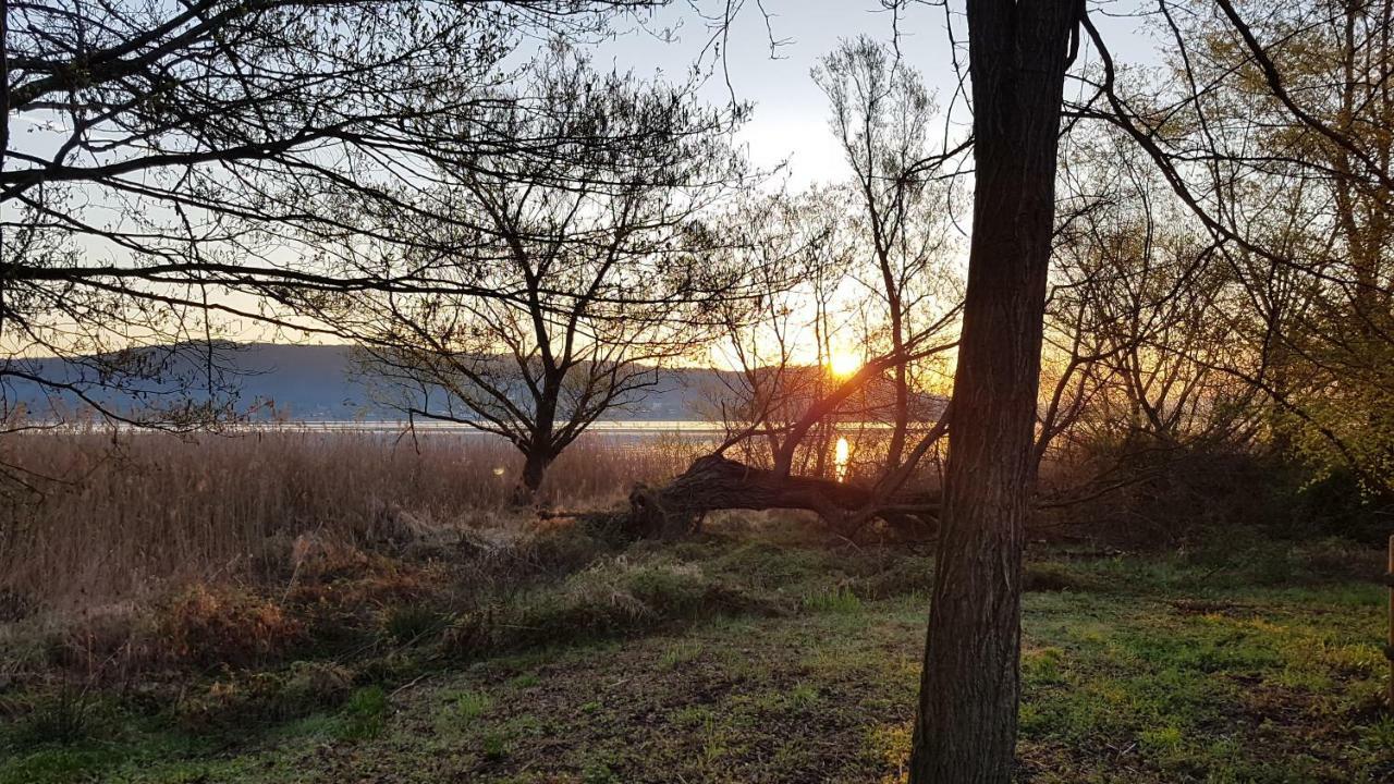 Ritratto sul Lago B&B Dormelletto Esterno foto