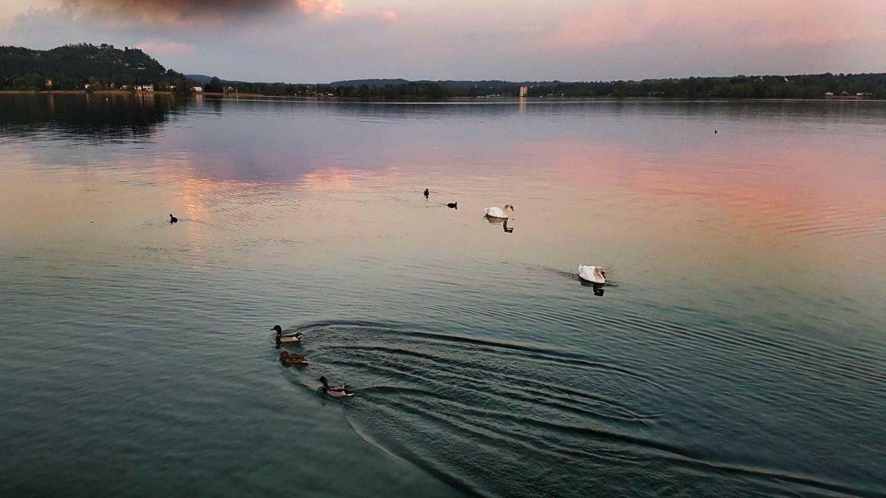 Ritratto sul Lago B&B Dormelletto Esterno foto