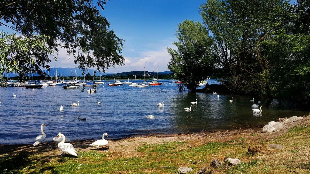 Ritratto sul Lago B&B Dormelletto Esterno foto